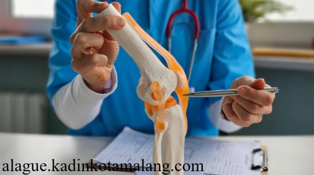Lachman Test untuk Cedera Lutut Prosedur Manfaat & Keakuratan