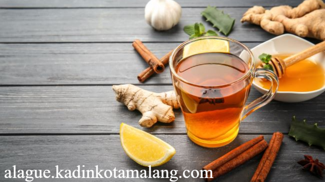 Turunkan Kolesterol dengan Mudah 7 Obat Alami yang Efektif