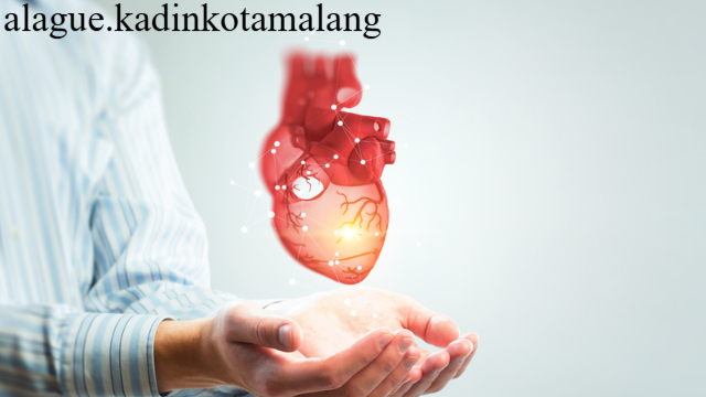 Mengenal Fungsi dan Cara Kerja Jantung untuk Hidup Sehat
