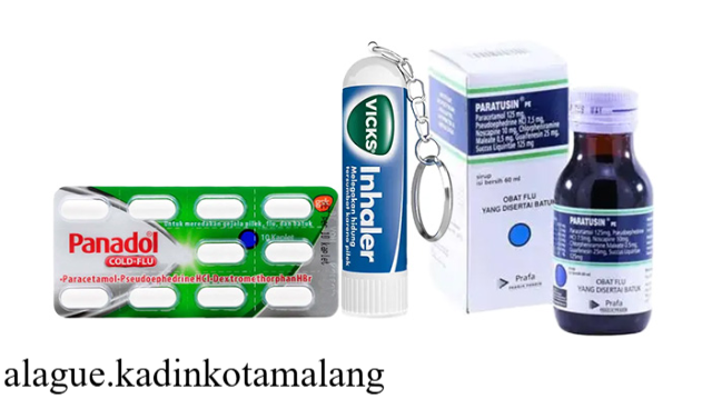Pilihan Obat Pilek yang Ampuh dan Mudah Ditemukan di Apotek
