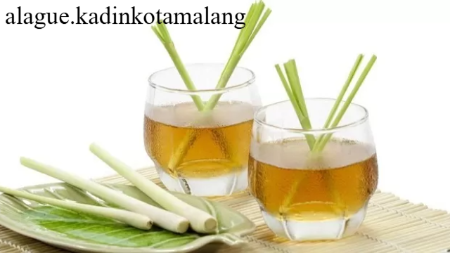 Teh Serai Rahasia Kesehatan Tubuh yang Tersembunyi