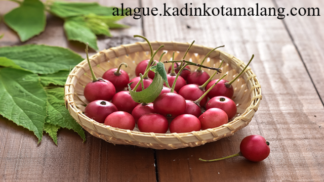 Buah Seri: Si Kecil yang Kaya Manfaat Bagi Tubuh